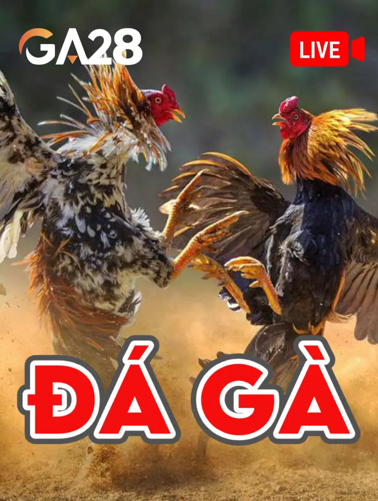 MAN88 Đá Gà GA28
