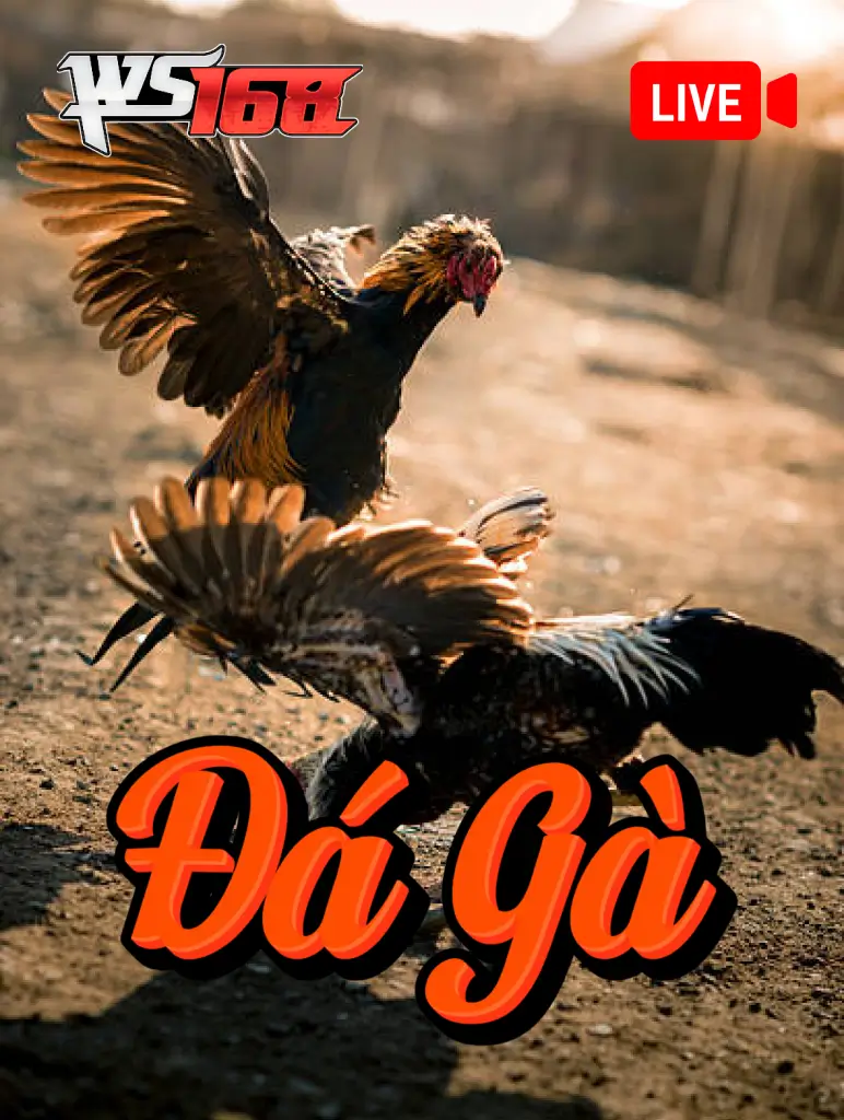 MAN88 Đá Gà WS168