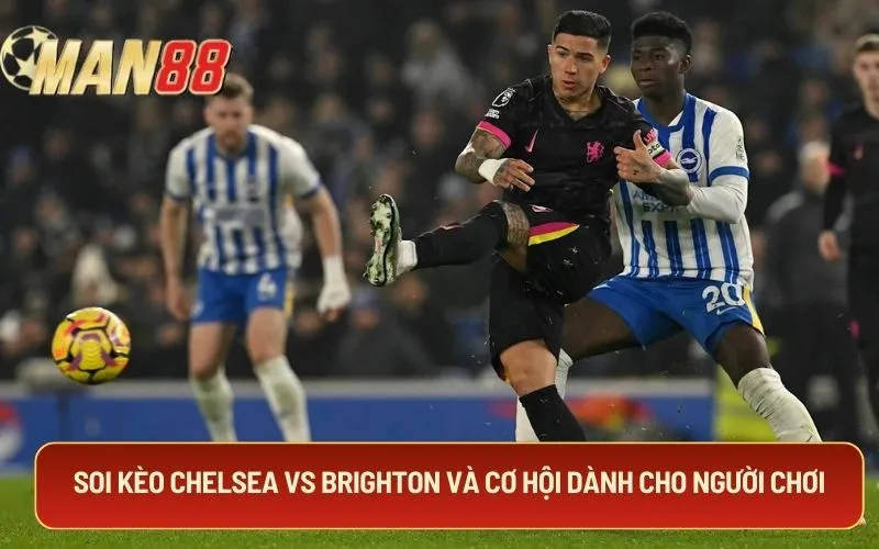 Soi kèo Chelsea Vs Brighton và cơ hội dành cho người chơi