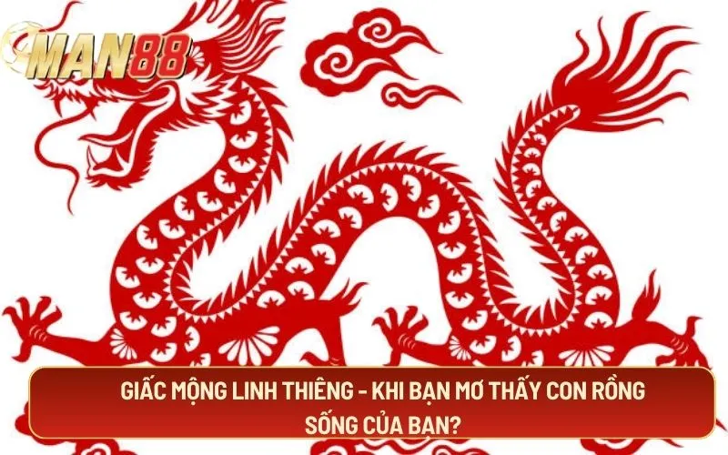 Giấc mộng linh thiêng - Khi bạn mơ thấy con rồng