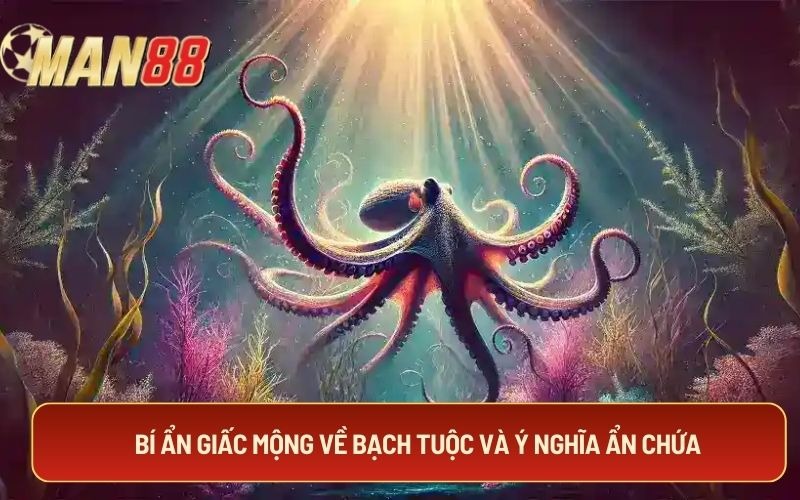 Bí ẩn giấc mộng về bạch tuộc và ý nghĩa ẩn chứa