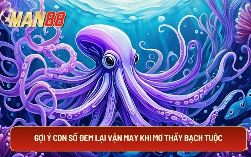 Gợi ý con số đem lại vận may khi mơ thấy bạch tuộc