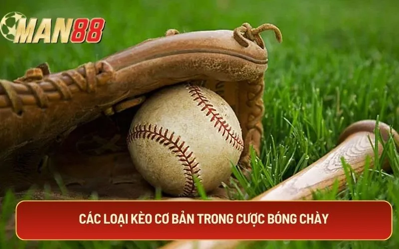 Các loại kèo cơ bản trong cược bóng chày
