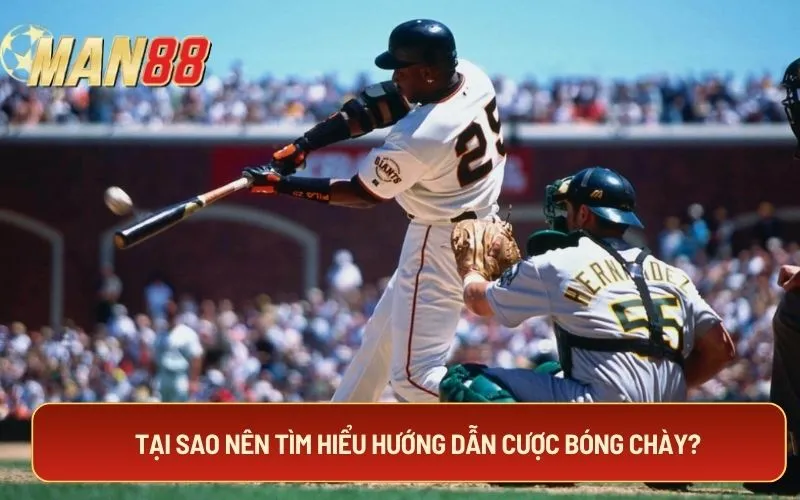 Tại sao nên tìm hiểu hướng dẫn cược bóng chày?
