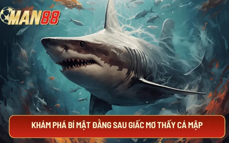 Khám phá bí mật đằng sau giấc mơ thấy cá mập