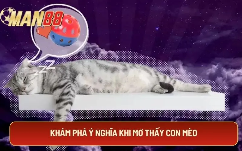Khám phá ý nghĩa khi mơ thấy con mèo