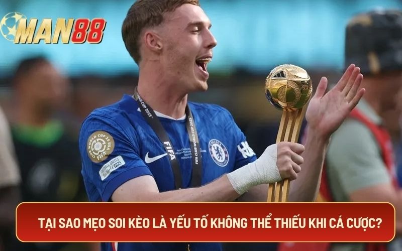 Tại sao mẹo soi kè là yếu tố không thể thiếu khi cá cược?