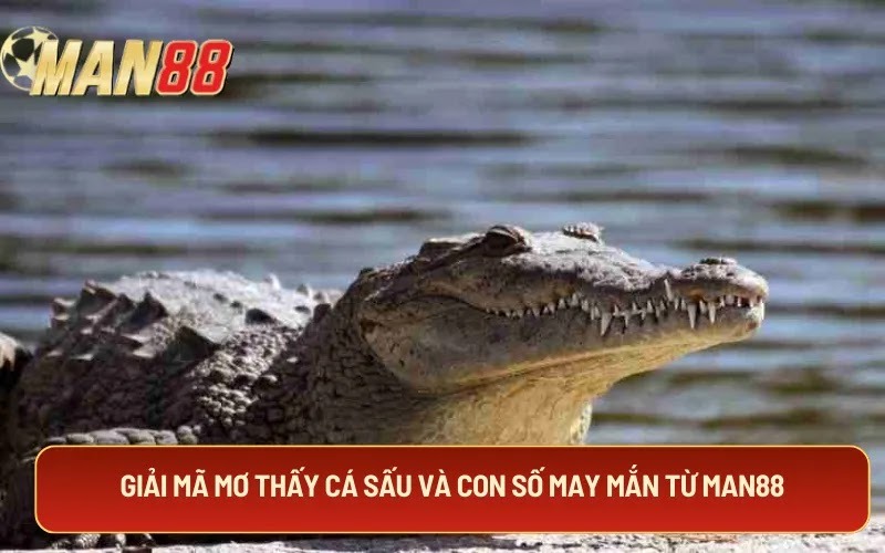 Giải mã mơ thấy cá sấu và con số may mắn từ MAN88