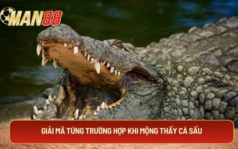 Giải mã từng trường hợp khi mộng thấy cá sấu