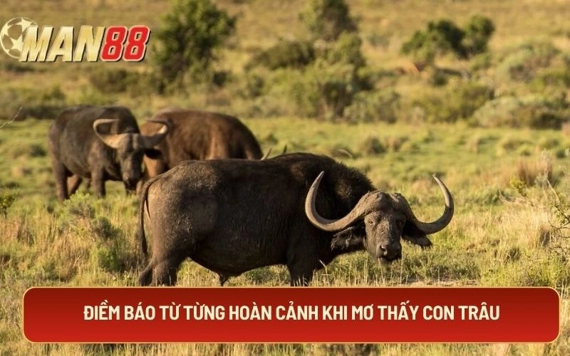 Điềm báo từ từng hoàn cảnh khi mơ thấy con trâu