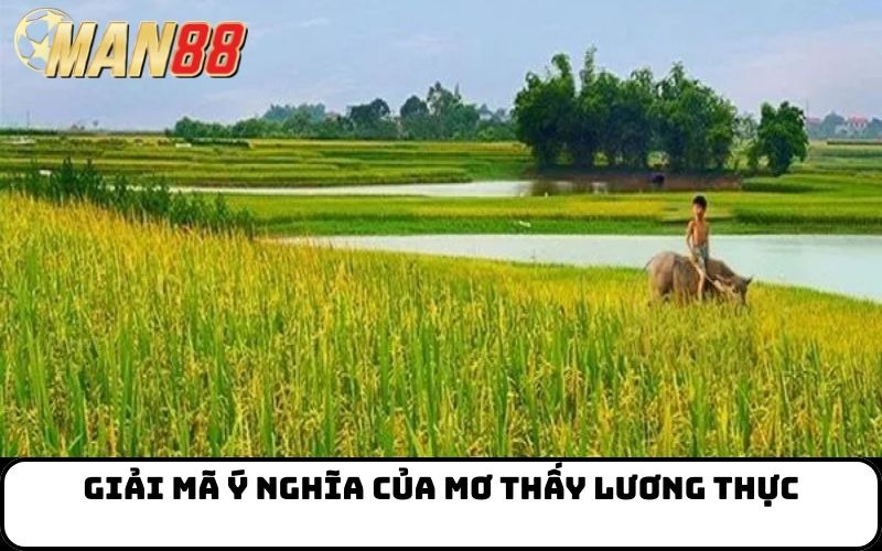 Giải mã ý nghĩa của mơ thấy lương thực