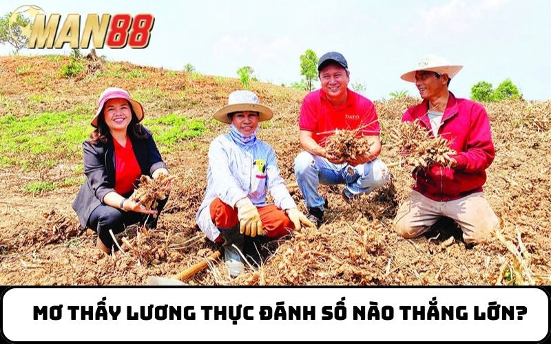 Mơ thấy lương thực đánh số nào thắng lớn?