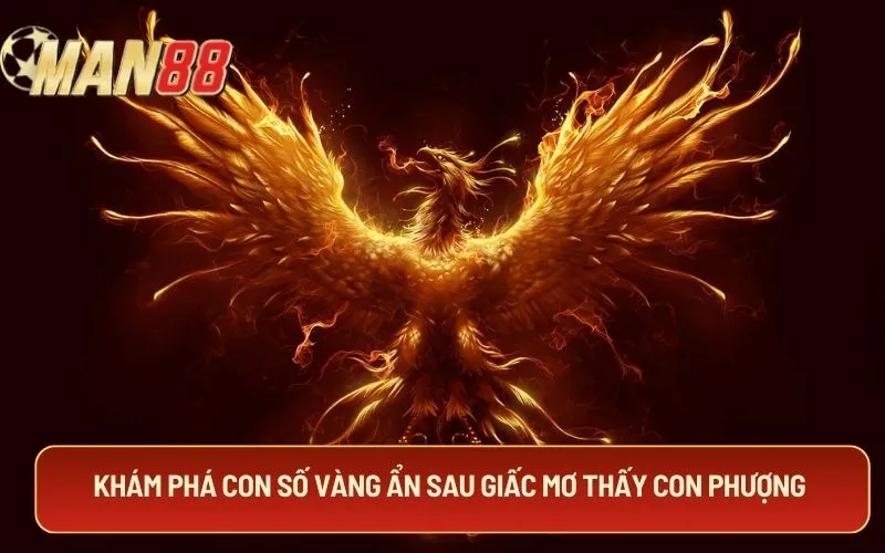 Khám phá con số vàng ẩn sau giấc mơ thấy con phượng