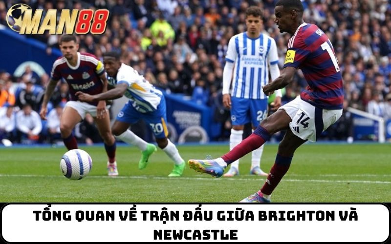 Tổng quan về trận đấu giữa Brighton và Newcastle