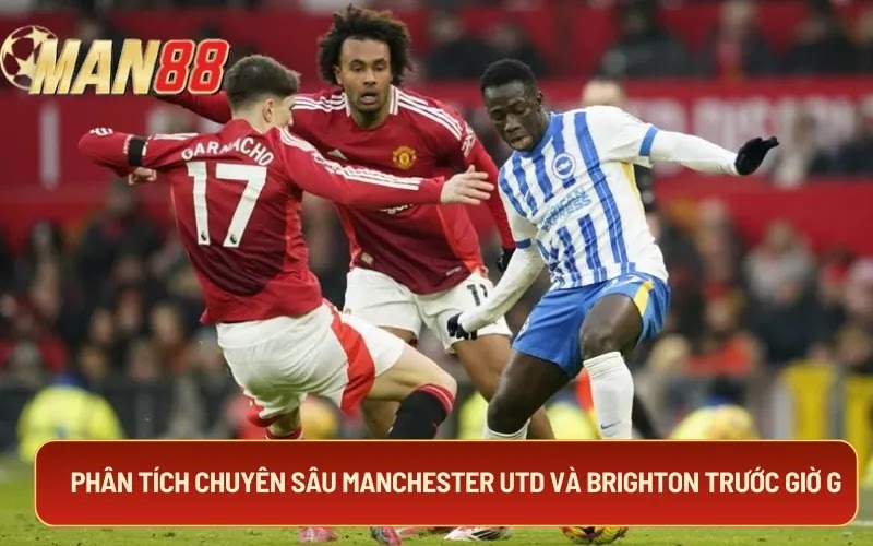 Phân tích chuyên sâu Manchester Utd và Brighton trước giờ G