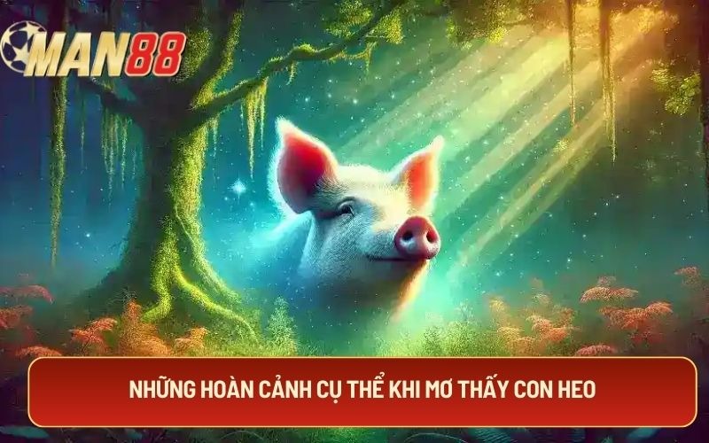 Những hoàn cảnh cụ thể khi mơ thấy con heo